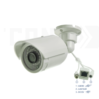 SAF-IPA750Full HD(�������/�����). ������� IP ������ ���������������.