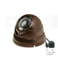 SAF-IP1200.Full HD(������/����������). ������� IP ������ ���������������.