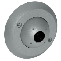 ���-09� CK� (��)