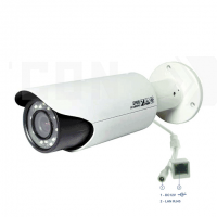 SAF-IP790Full HD(������/�����). ������� IP ������ ���������������.
