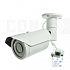 SAF-IPA1300 Full HD(������/�����). ������� IP ������ ���������������.